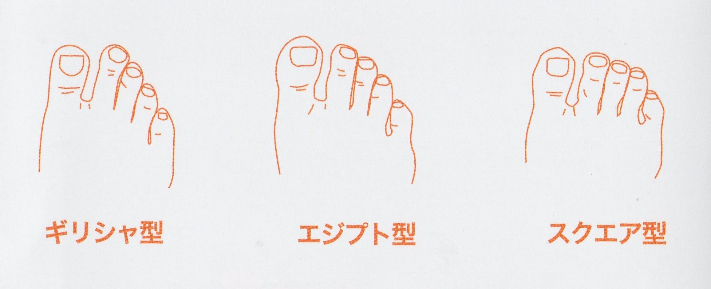 小指があたりやすい足型 Shoes Hachiro